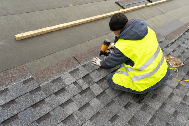 Best Roof Leak Repair  in Jamestown, ND