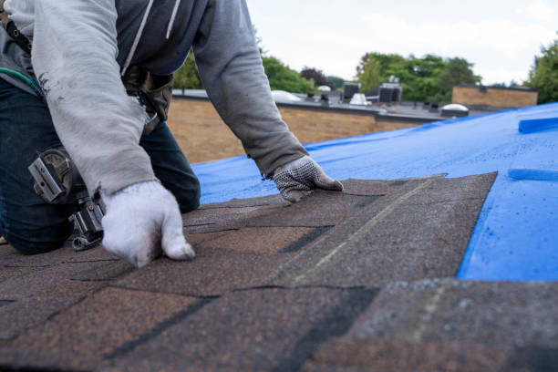 Best Commercial Roofing Services  in Jamestown, ND