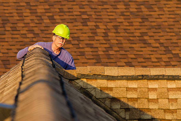 Best Roof Repair Services  in Jamestown, ND